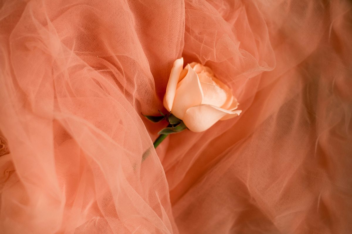 pelvic-floor-dysfunction-and-sex